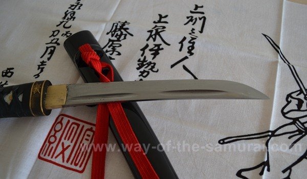 Masahiro Tanto Review Blade